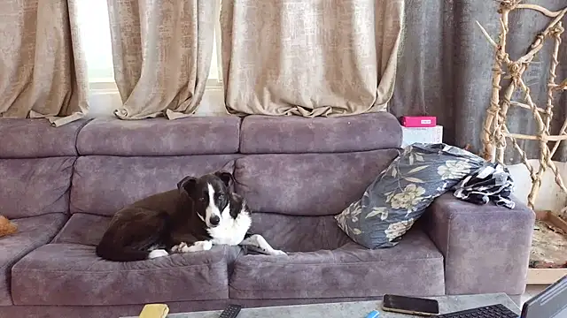 Alexis21821 online show from February 27, 8:14 am