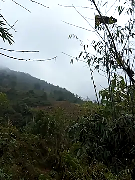 bonnie-00 online show from January 7, 2:49 am