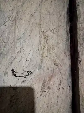 bonnie-00 online show from November 6, 10:58 pm