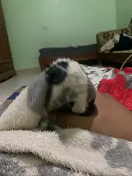 ali  ali210 online show from October 3, 1:23 pm