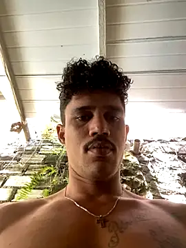 Snapshot of trustes00tribox chatting on November 16, 2:11 pm trustes00tribox online show from November 16, 2:11 pm