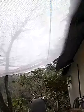 Snapshot of Dung_x chatting on February 7, 5:48 am Dung x online show from February 7, 5:48 am