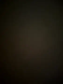 SienaWild online show from January 11, 4:08 am