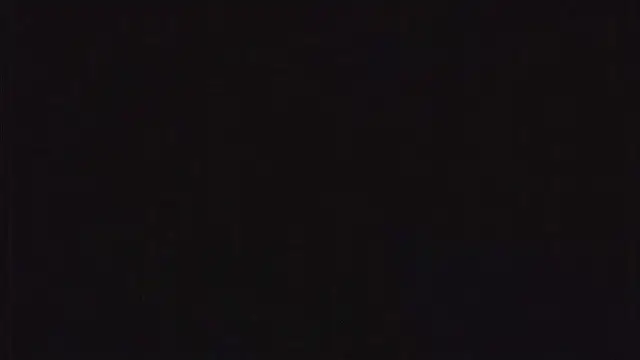 SienaWild online show from December 23, 3:17 am