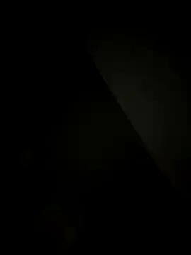 SienaWild online show from December 20, 4:15 am