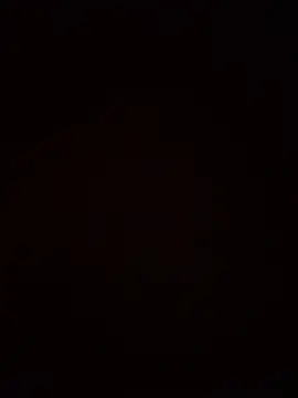 SienaWild online show from January 9, 8:38 pm