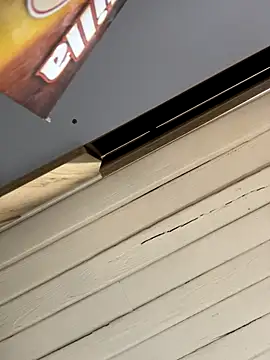 SienaWild online show from December 1, 3:18 am