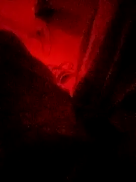 Snapshot of meenahotdarling chatting on September 20, 4:34 pm meenahotdarling online show from September 20, 4:34 pm