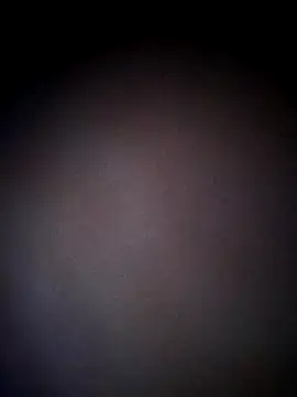 thehotlady online show from October 24, 8:46 am