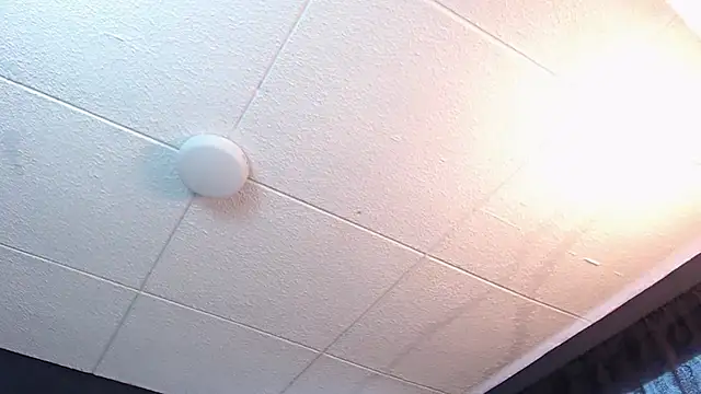 RichardMilleer online show from February 16, 1:43 pm