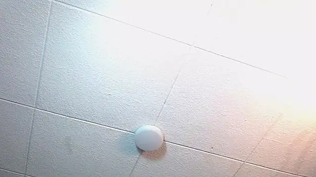 RichardMilleer online show from November 12, 2:21 pm