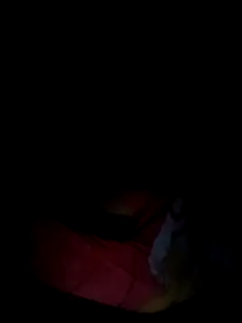 Rosabela04 online show from February 12, 8:03 am