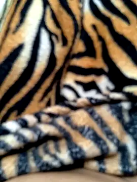 Cachorrinha2025 online show from October 15, 9:39 am