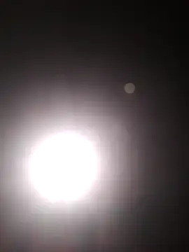 Cachorrinha2025 online show from October 22, 5:45 pm