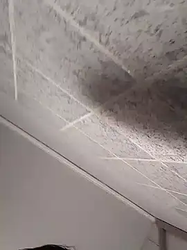 Cachorrinha2025 online show from October 12, 9:54 am