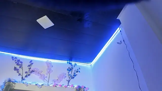 abbiecollins js online show from March 25, 4:45 am