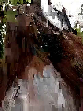 Snapshot of -Miu-98 chatting on October 26, 12:00 am -Miu-98 online show from October 26, 12:00 am