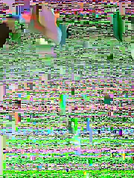 LenaZii online show from February 7, 5:26 am