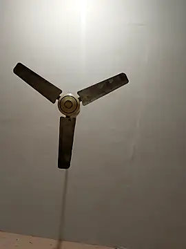 Snapshot of monarani5986 chatting on January 31, 8:18 pm monarani5986 online show from January 31, 8:18 pm