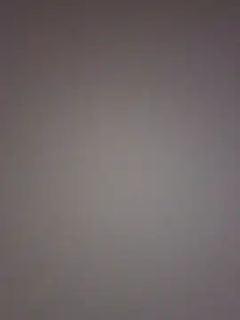 noe 30 online show from December 22, 6:08 pm