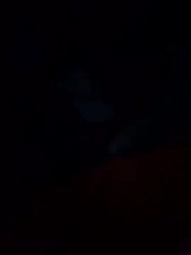 Jarektchurzewski online show from February 13, 12:32 am