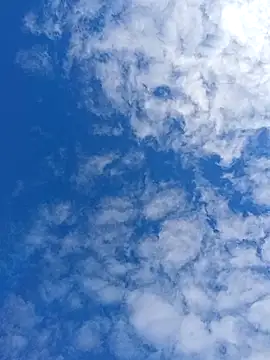 matatan0323 online show from April 13, 2:10 pm