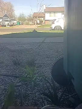 matatan0323 online show from March 29, 4:30 pm