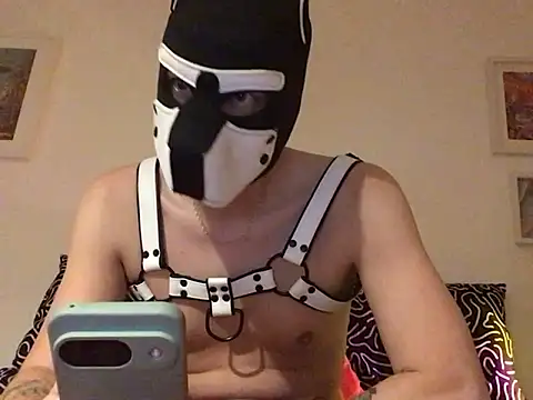 Snapshot of cruiserpup chatting on October 5, 9:22 am cruiserpup online show from October 5, 9:22 am