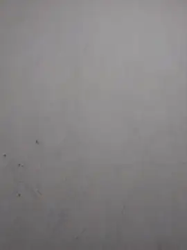 sweet bella16 online show from November 2, 7:46 am