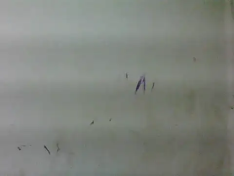 sweet bella16 online show from January 16, 5:33 am