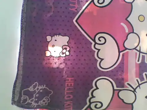 Snapshot of asian_bhebs1 chatting on October 28, 2:45 am asian bhebs1 online show from October 28, 2:45 am