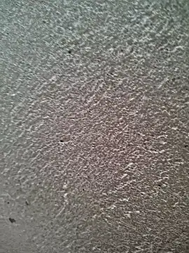 bold guy 1234 online show from March 30, 6:04 am