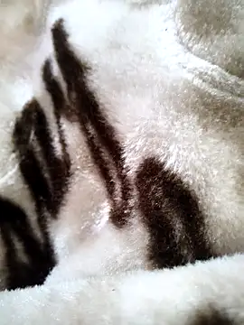 bold guy 1234 online show from December 17, 5:34 am