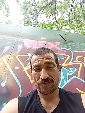 zamir adam online show from November 14, 3:15 pm