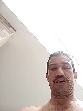 zamir adam online show from November 6, 3:27 pm