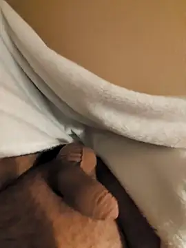 verjaya online show from November 15, 10:25 pm