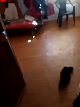 Dropepe1995 online show from October 25, 6:52 pm