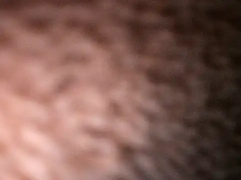 Snapshot of Milenvs chatting on October 20, 7:53 am Milenvs online show from October 20, 7:53 am