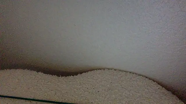 Texxaspearl online show from March 31, 12:51 pm