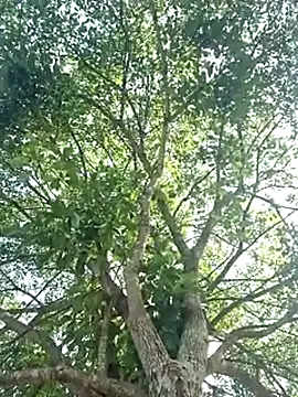 Bottz777 online show from November 12, 11:03 am