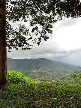 sky-wolves online show from November 22, 9:46 pm