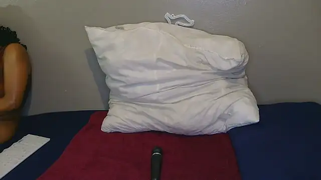 Snapshot of Serafynn chatting on November 26, 5:51 am Serafynn online show from November 26, 5:51 am