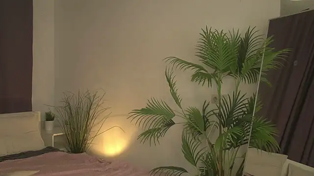 selin selin online show from November 3, 5:56 am