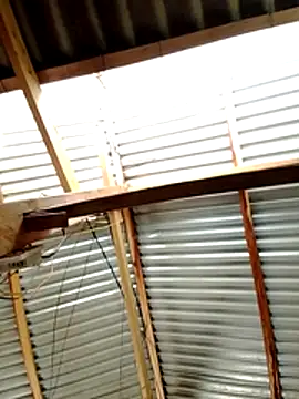 donna-bae online show from March 19, 4:34 am