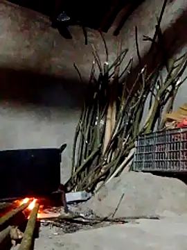 donna-bae online show from March 9, 11:36 am