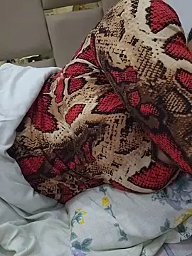 Feel the Fun online show from February 28, 5:23 pm