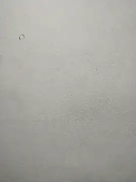 ms-naina online show from April 7, 5:04 pm