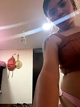 Pink  rose online show from November 6, 1:04 pm