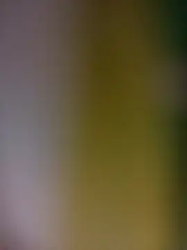 tulipsexy online show from February 19, 3:36 am