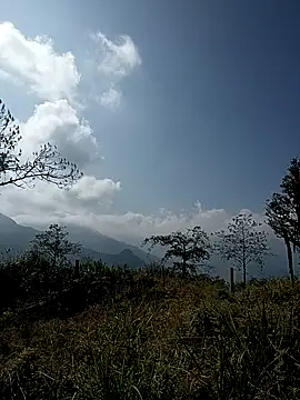 tulipsexy online show from January 17, 5:44 am